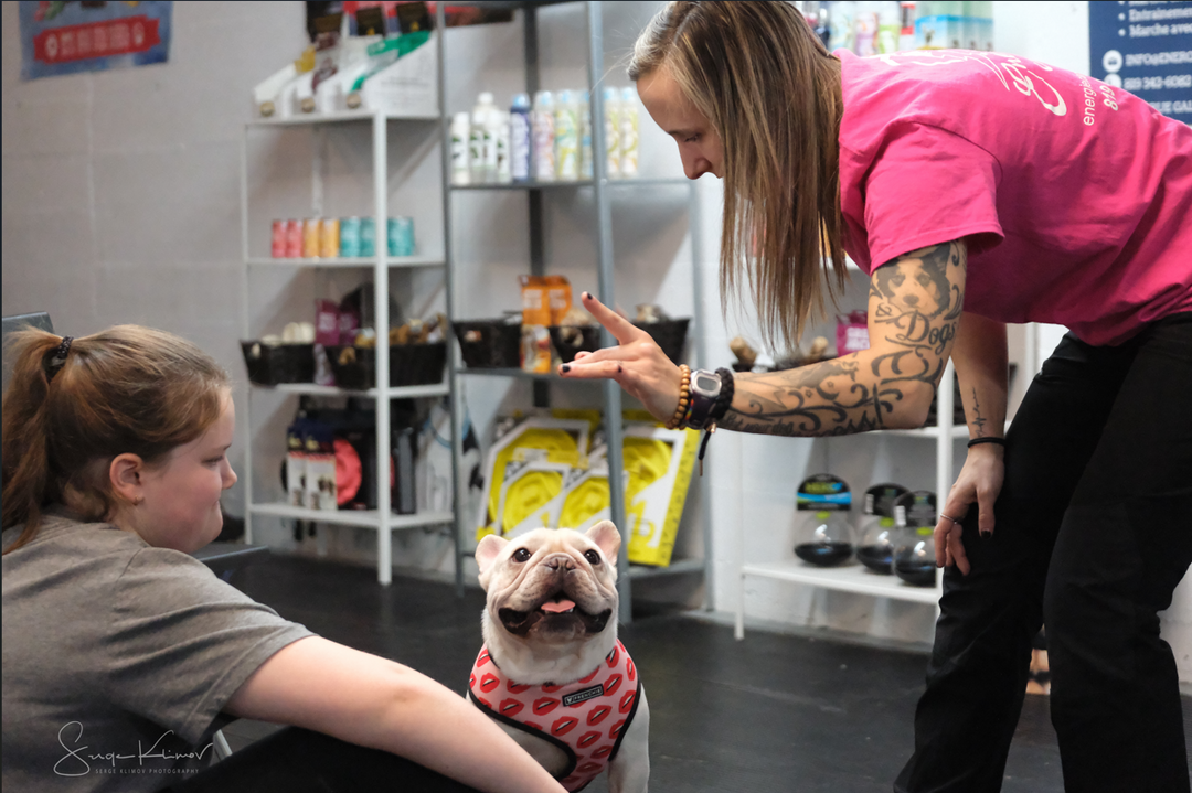 Journée jeune éducateur canin - Énergie canine Estrie