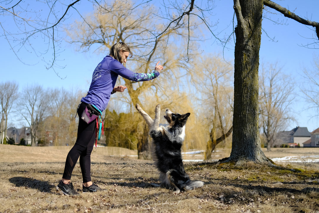 Consultations privées - Énergie canine Estrie