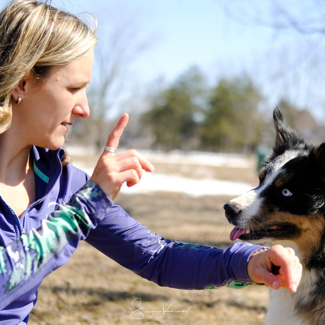 Focus sur moi - extérieur - Énergie canine Estrie