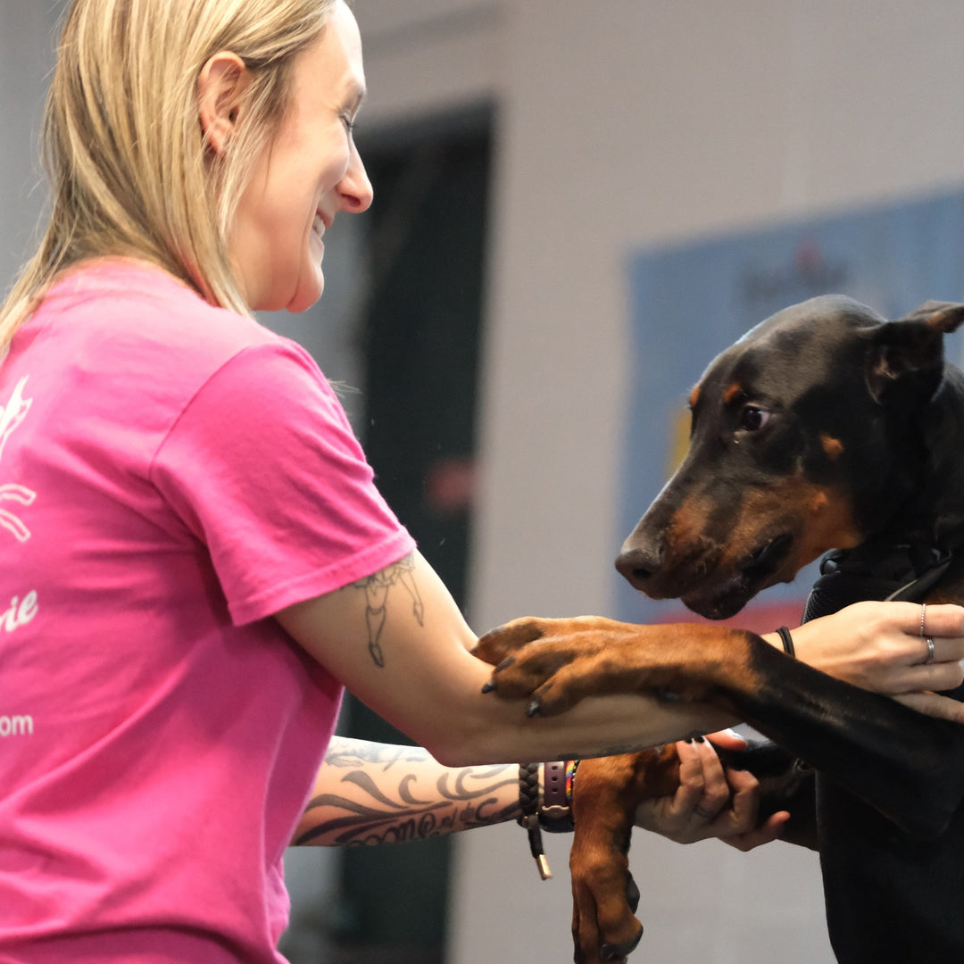 Freestyle avec Angélique - Énergie canine Estrie