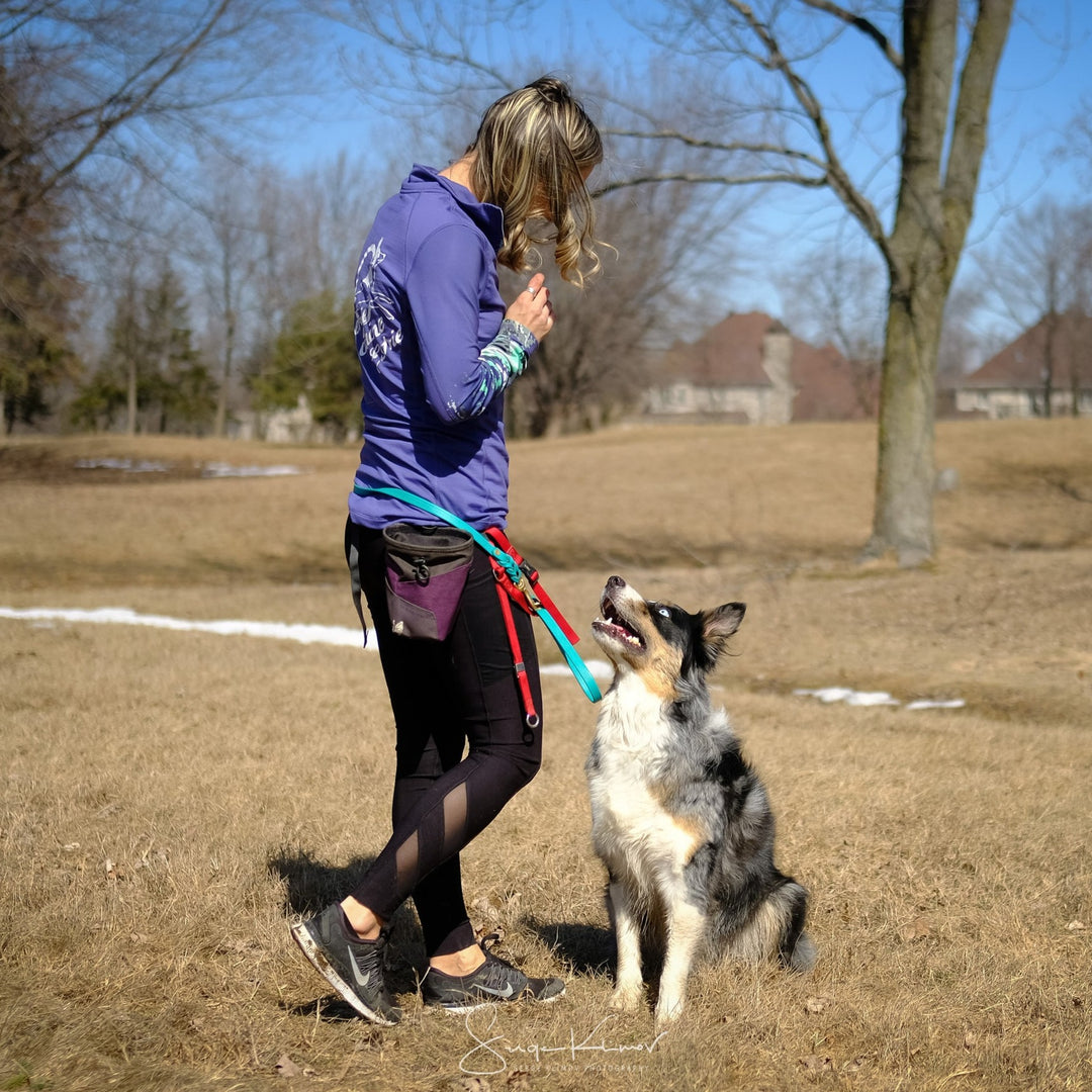 Marche en laisse 101 - Énergie canine Estrie