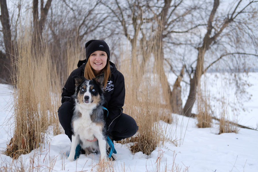 La naissance d'Énergie canine Estrie