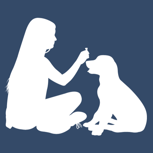 cours et ateliers pour chiens et chiots