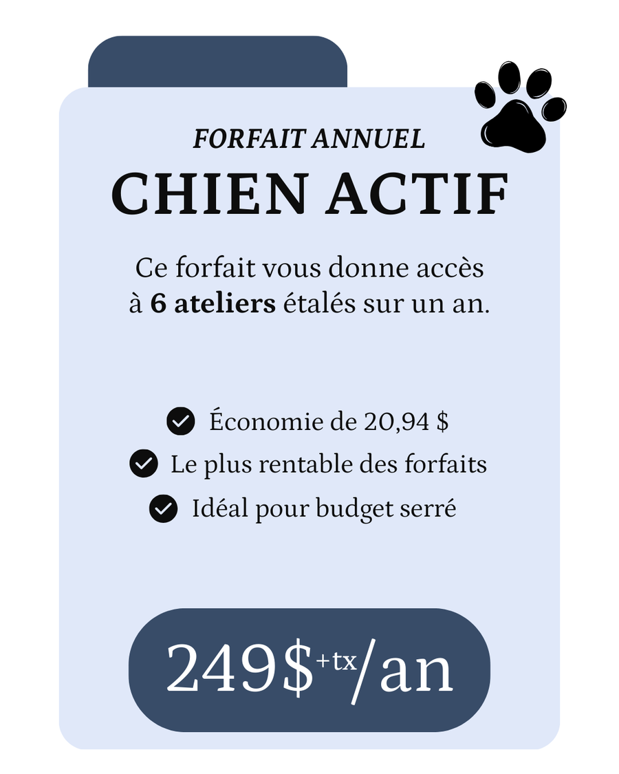 Forfait annuel CHIEN ACTIF - Énergie canine Estrie