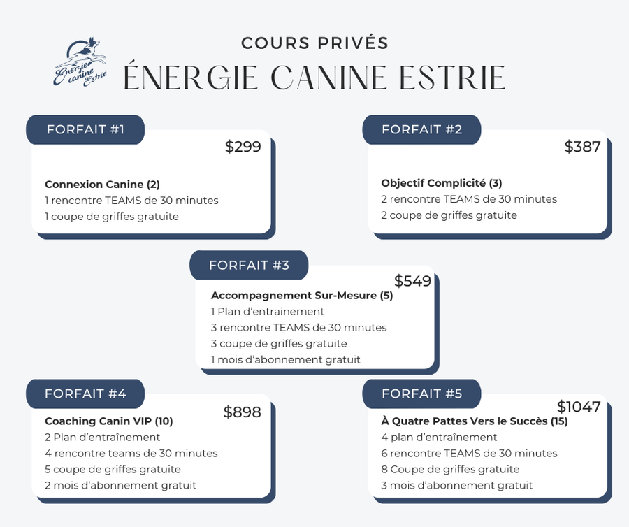 Cours privés - Énergie canine Estrie