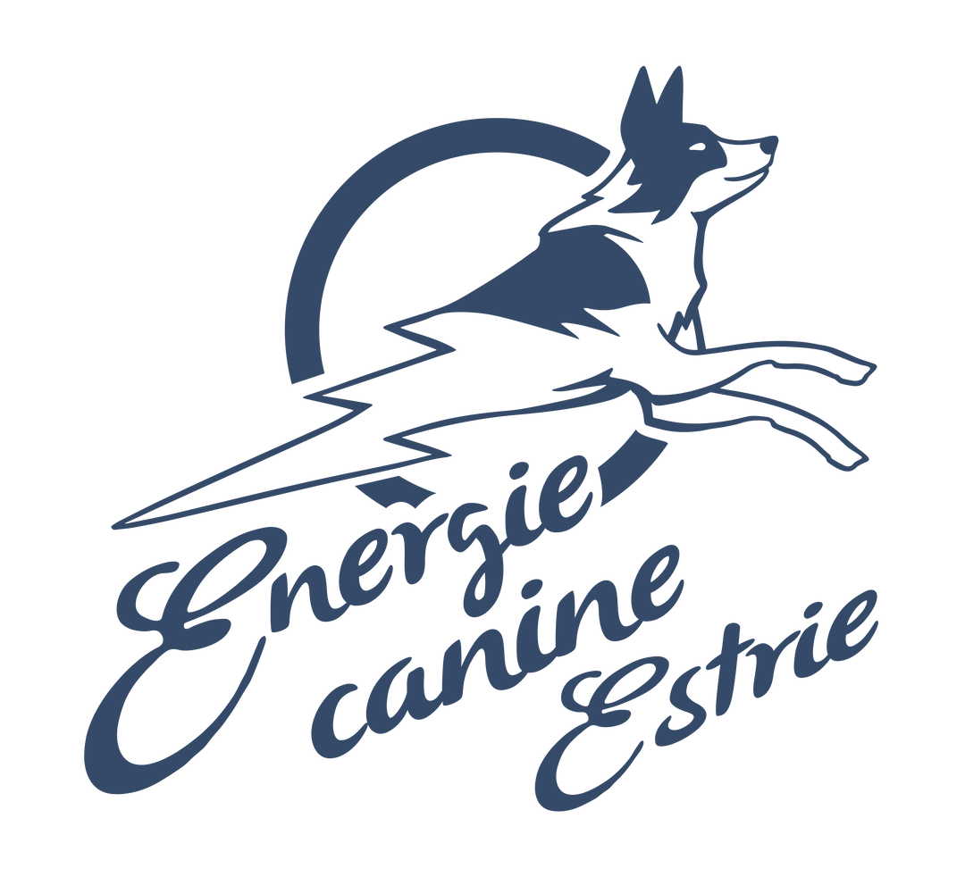Logo-bleu-energiecanineestrie