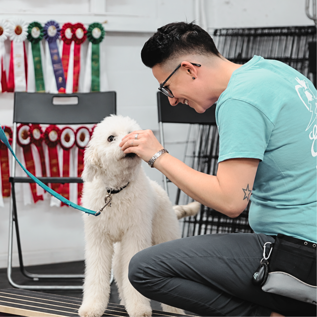 ATELIER CANIN DE GROUPE - Parcours avec Alexe - Énergie canine Estrie