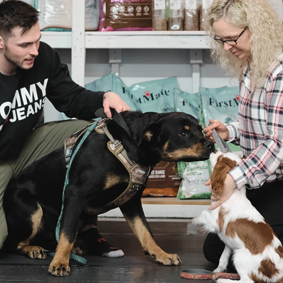 ATELIER CANIN DE GROUPE - Mon chien en mode social - Énergie canine Estrie