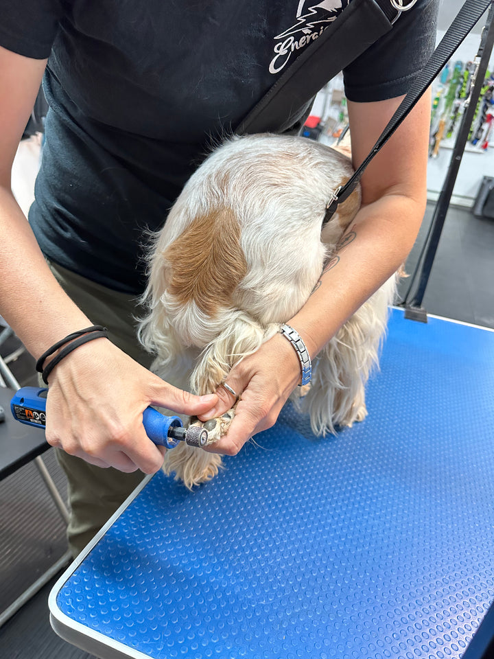 Service de coupe de griffes pour chien - Abonnement - Énergie canine Estrie