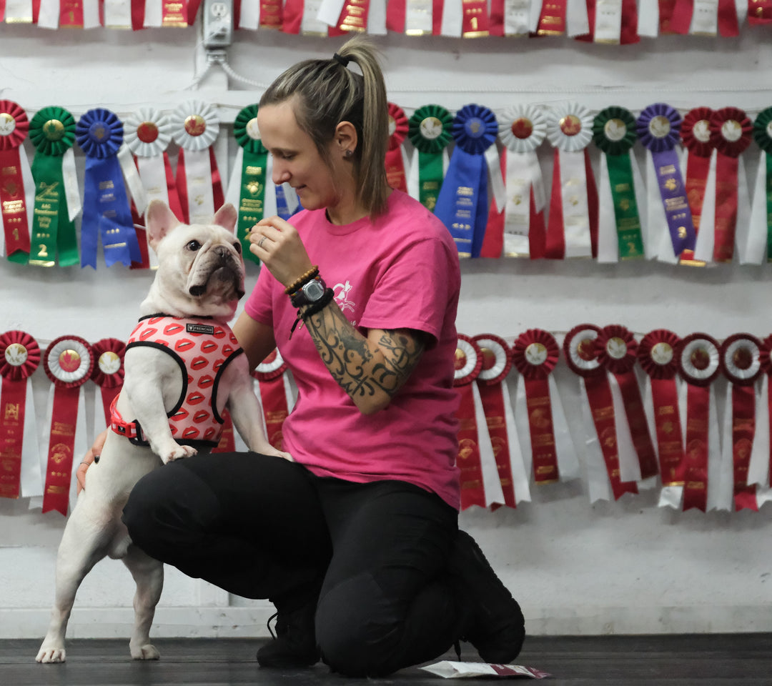 angelique-educateur-canin-dressage-chien-estrie-sherbrooke