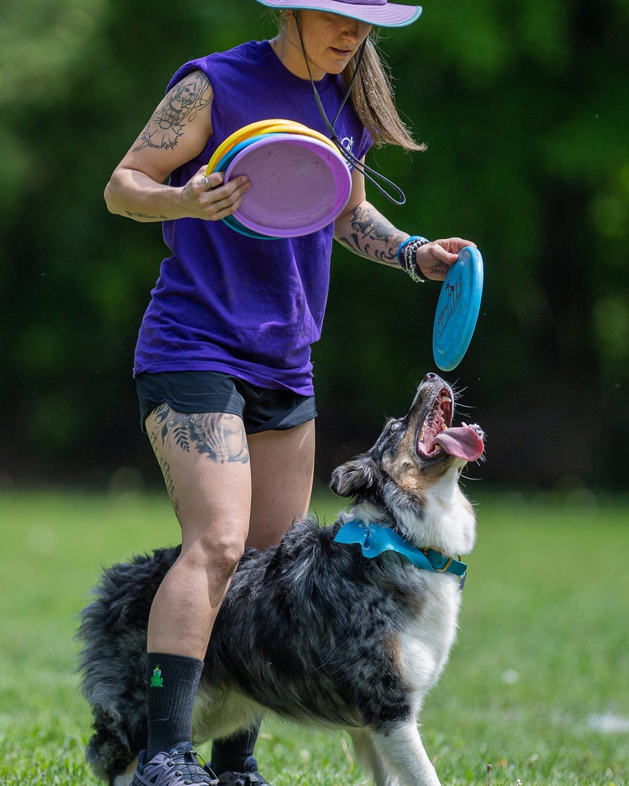 Frisbee 101 - Énergie canine Estrie