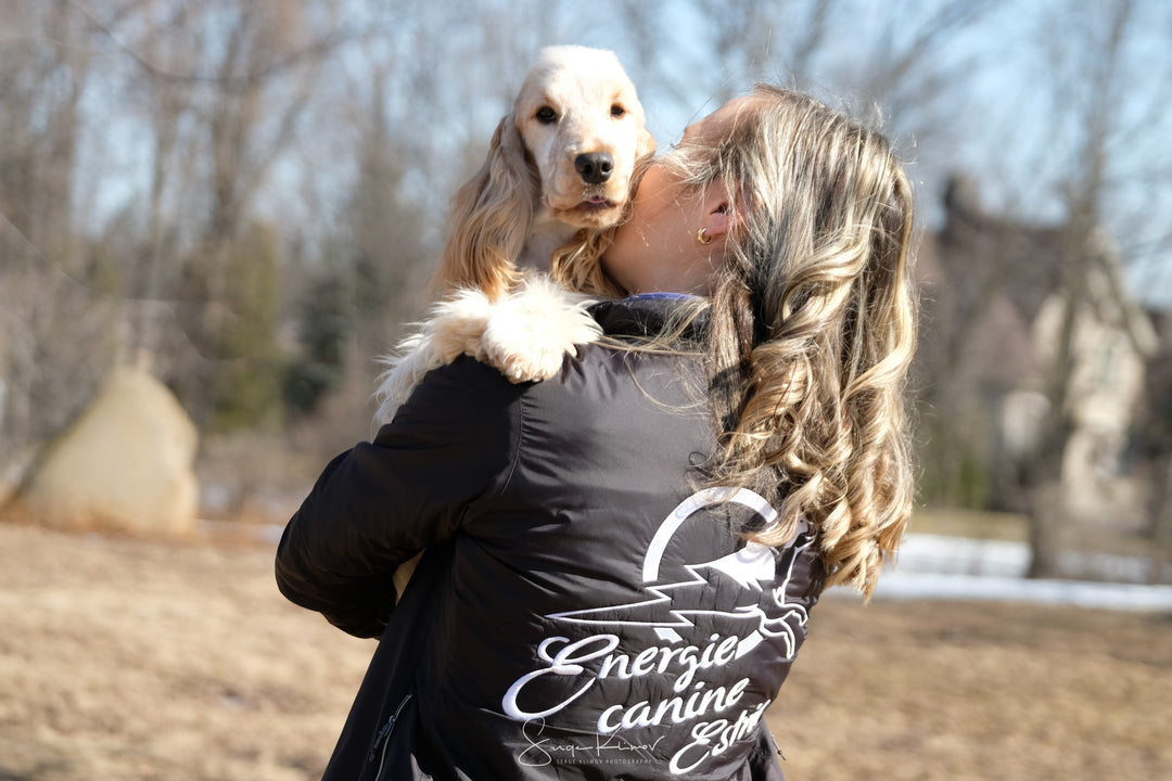 Cours privés - Énergie canine Estrie