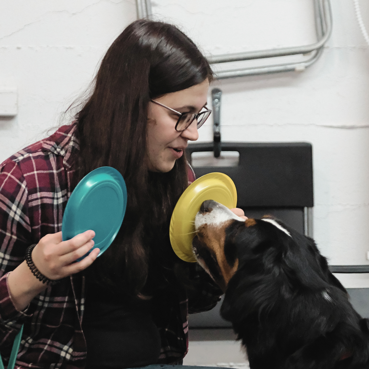 ATELIER CANIN DE GROUPE - Stimulation mentale et clicker - Énergie canine Estrie