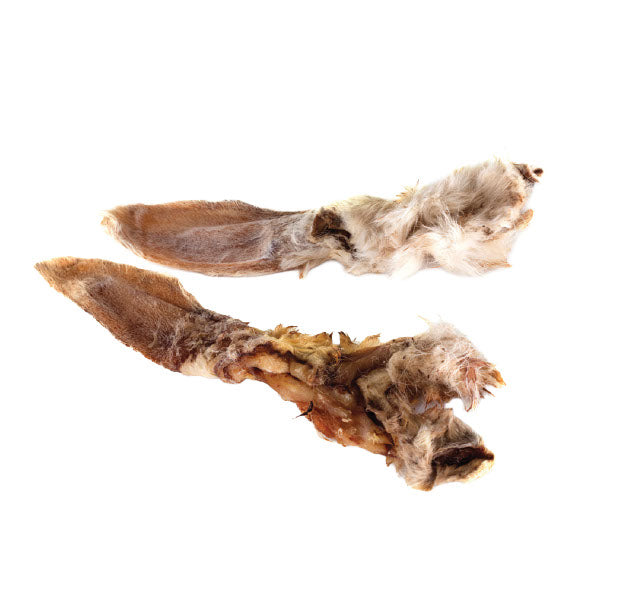 PAW PAW Oreille de lapin avec poils
