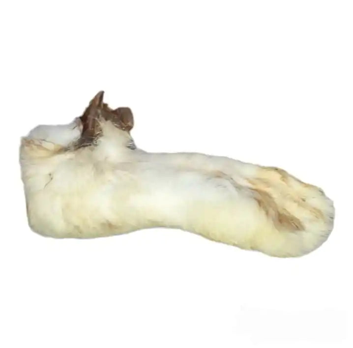 Patte de lapin avec poils - Énergie canine Estrie