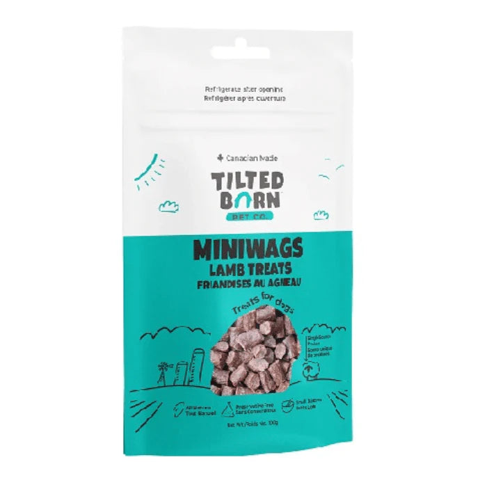 MINIWAGS - Énergie canine Estrie