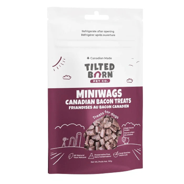 MINIWAGS - Énergie canine Estrie