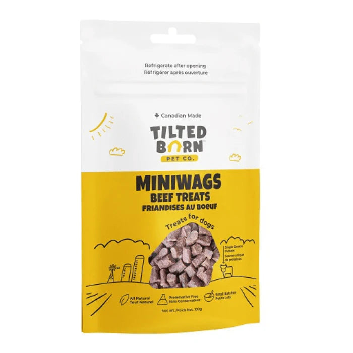 MINIWAGS - Énergie canine Estrie