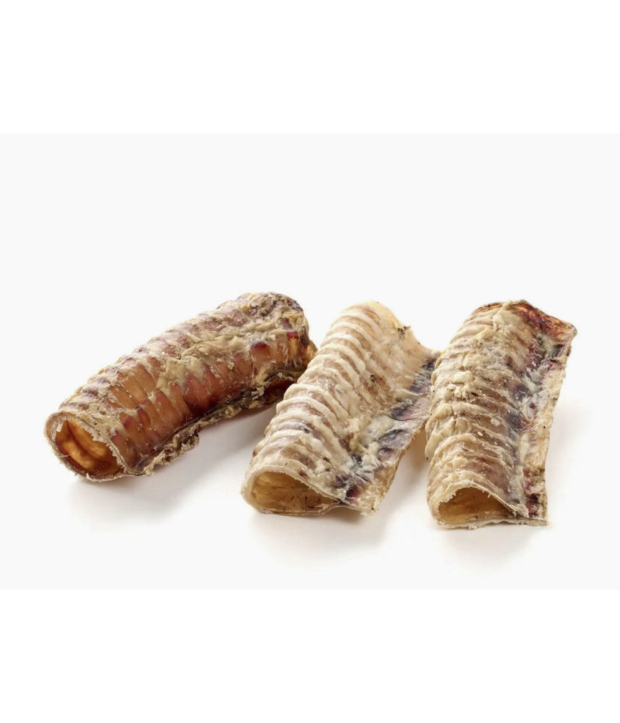 Trachée de boeuf 6"